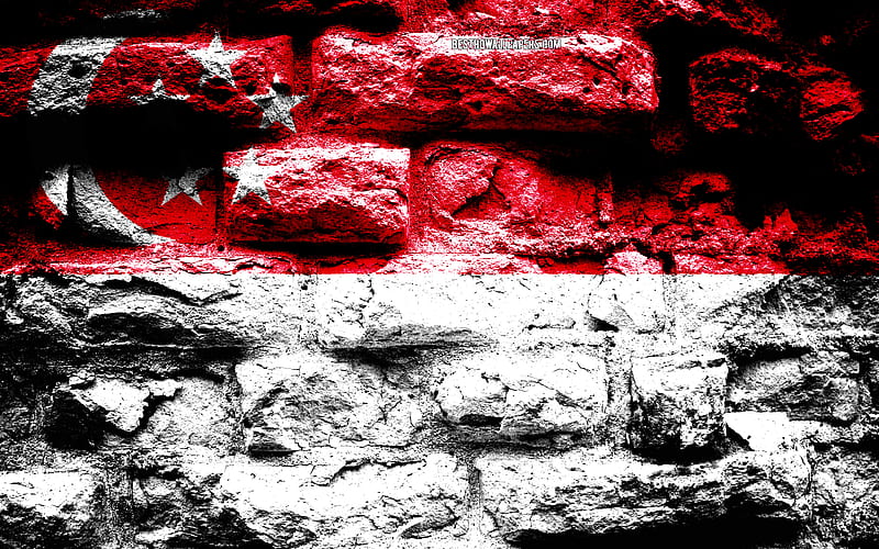 Empire of Singapore, grunge brick texture, Flag of Singapore, flag on brick wall, Singapore, flags of Asian countries, HD wallpaper