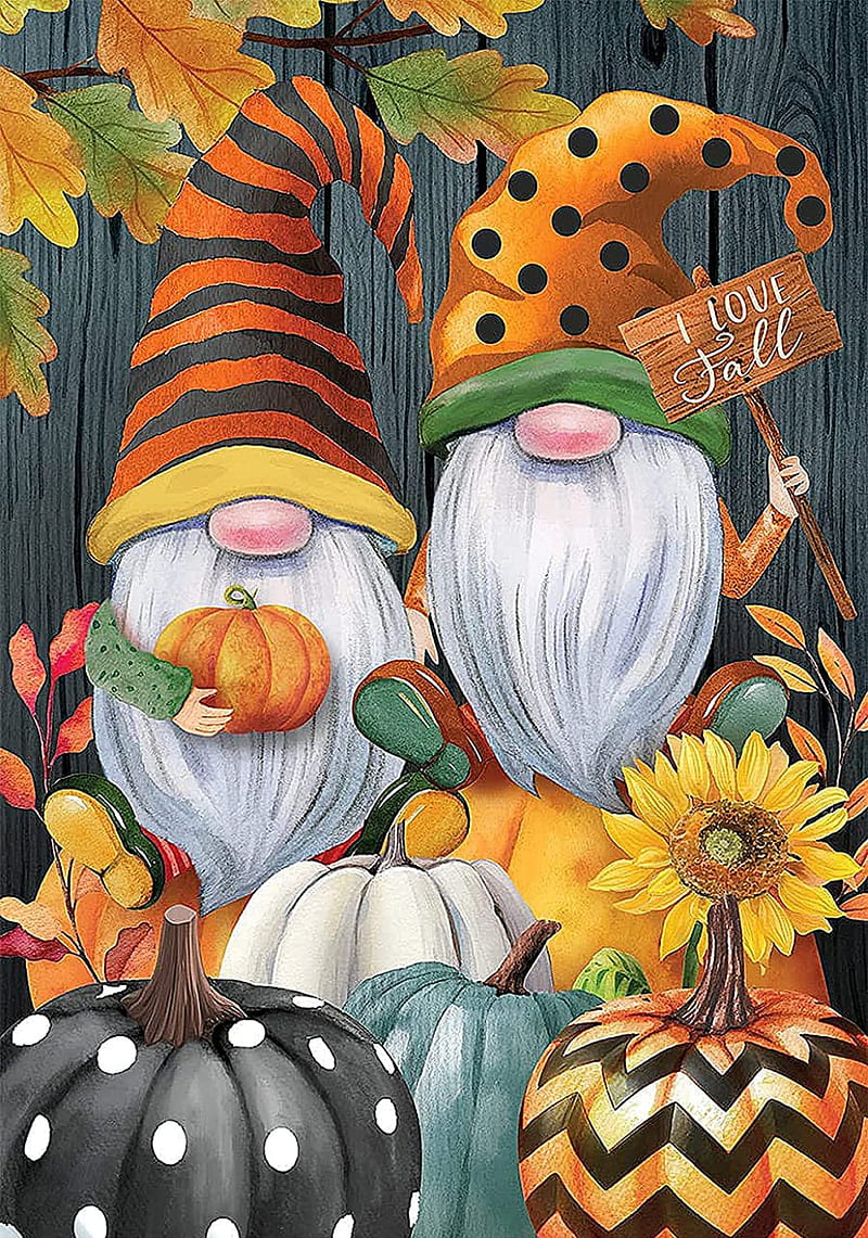 Fall gnomes, orange, winter squash, HD phone wallpaper