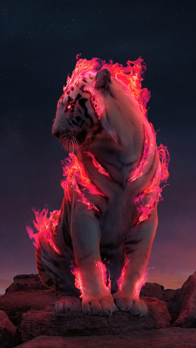 Red Aura, fantasy, fire burning, fire power, fire tiger, fire tiger , flame tiger, magic creature, super power, tiger, HD phone wallpaper