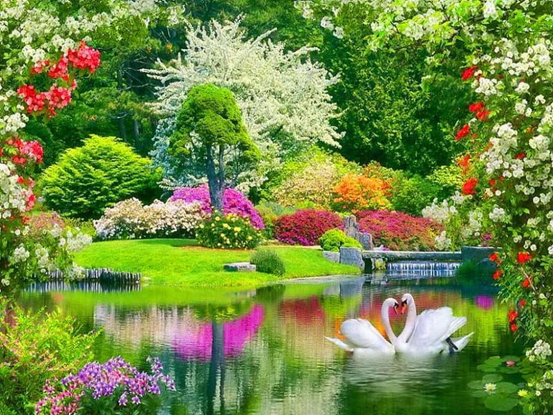 Spring magic, garden, flowers, trees, swans, HD wallpaper