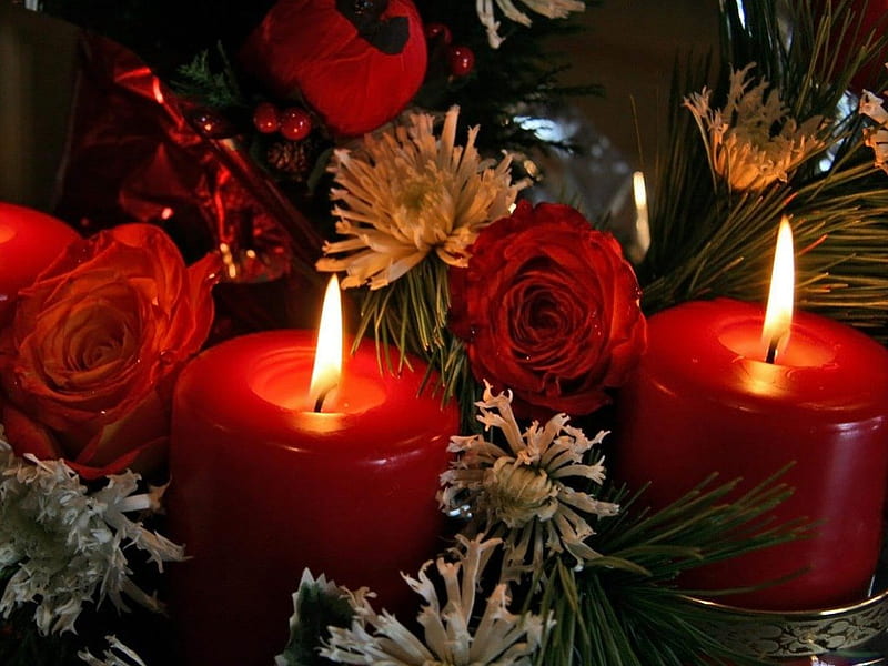 WARM GLOW, table, red, flames, decorations, roses, pines, festivities, candles, HD wallpaper