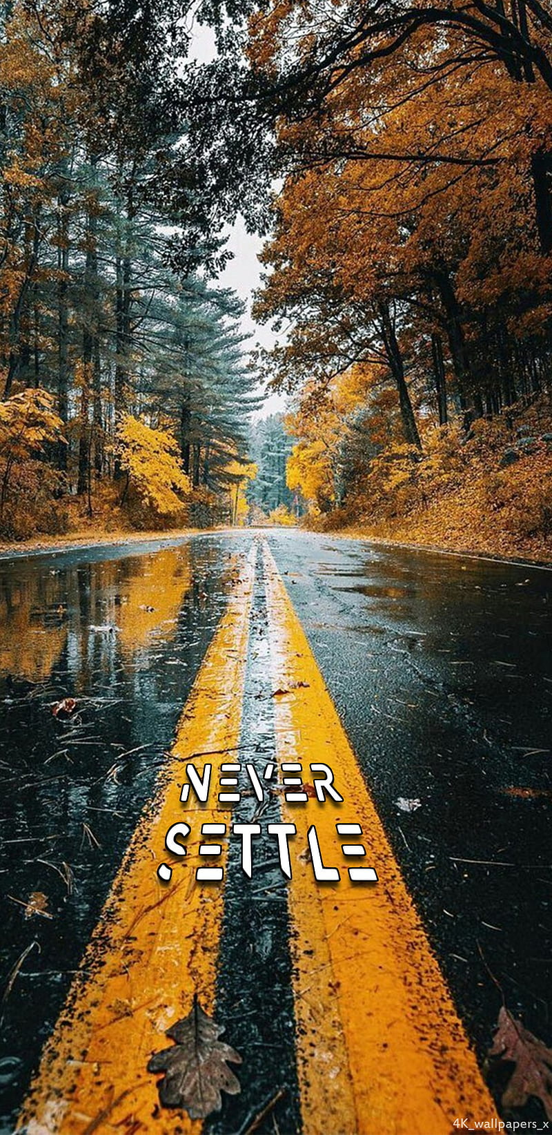 Oneplus, fall nature, forest, highway, nature, road, roads, street, winter, HD  phone wallpaper | Peakpx