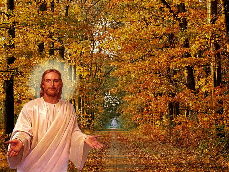 Jesus Christ the way, christ, jesus, christianity, path, religion, god, HD wallpaper