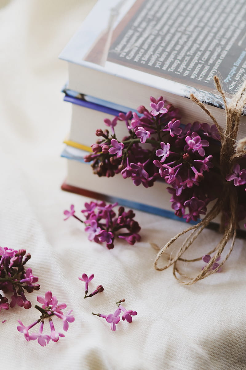 lilac, flowers, books, reading, aesthetics, HD phone wallpaper