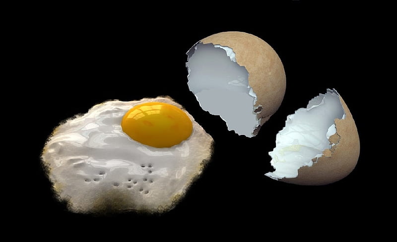 Ready-fried Egg, eggshell, pre-cooked, egg, broken, HD wallpaper