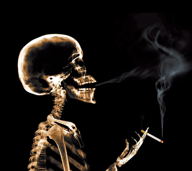 Wallpaper Roll smoking skull - PIXERS.CO.NZ