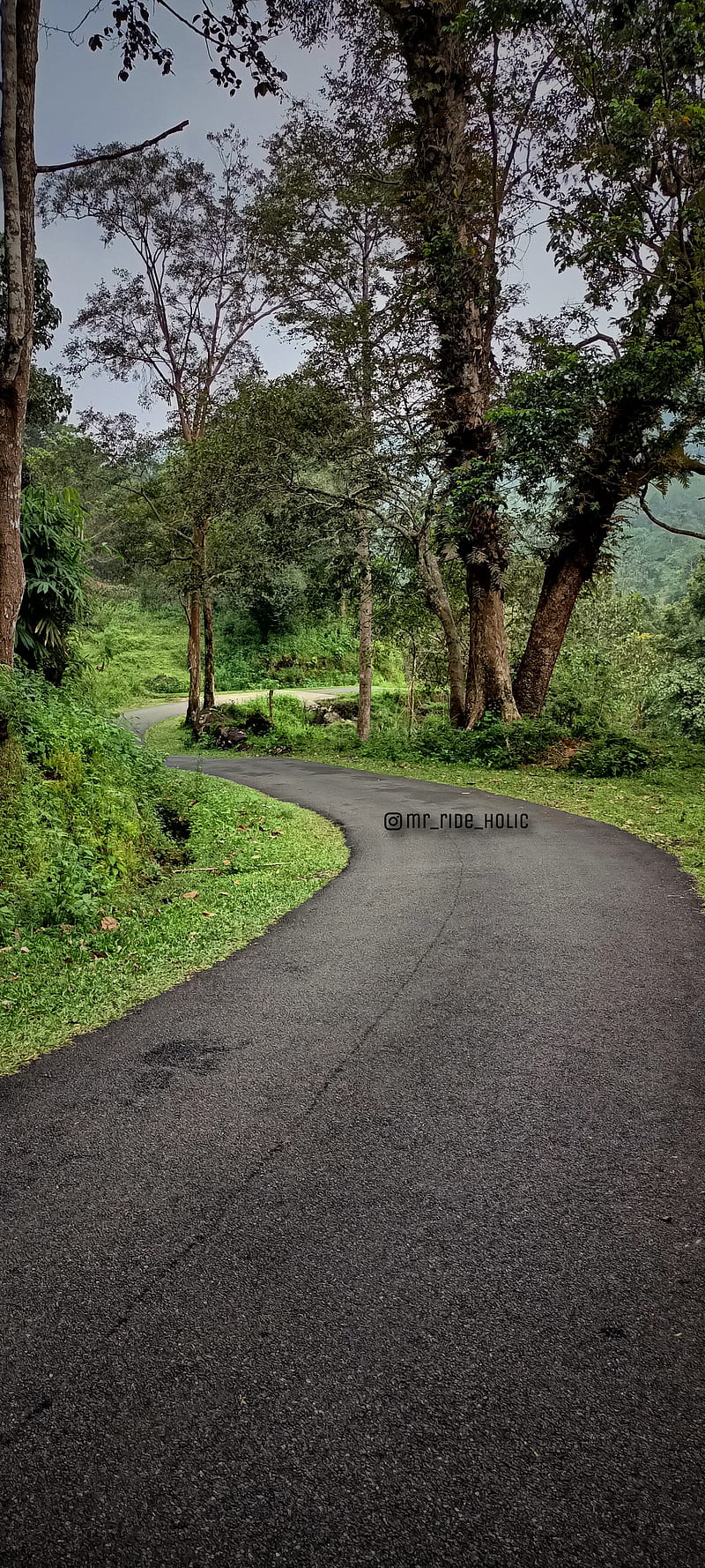 Road, idukki, kerala, landscape, nature, roads, HD phone wallpaper