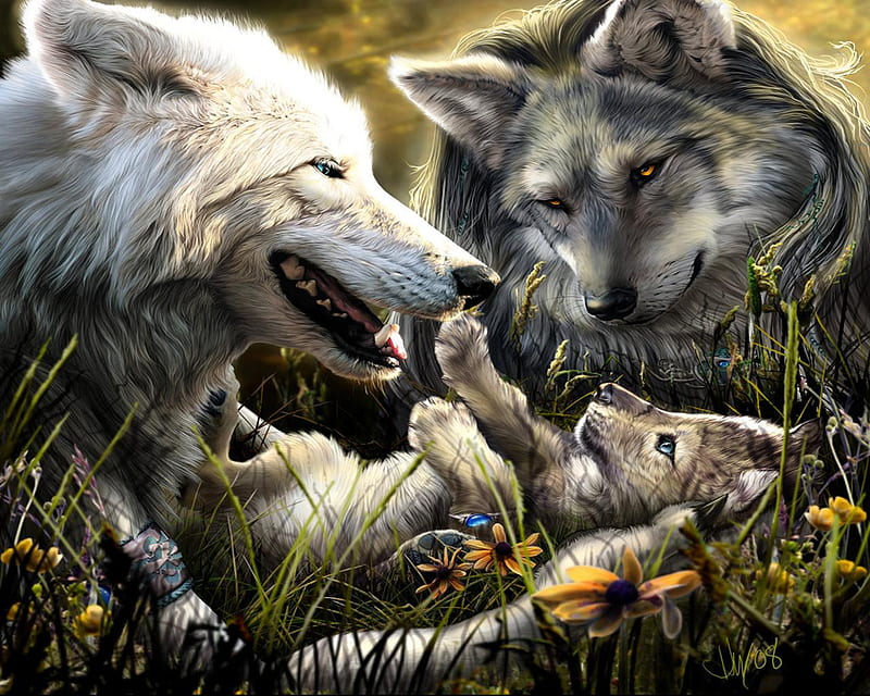 proud wolf parents and there pup, werewolves, parents, wolf pups, babies, pups, HD wallpaper