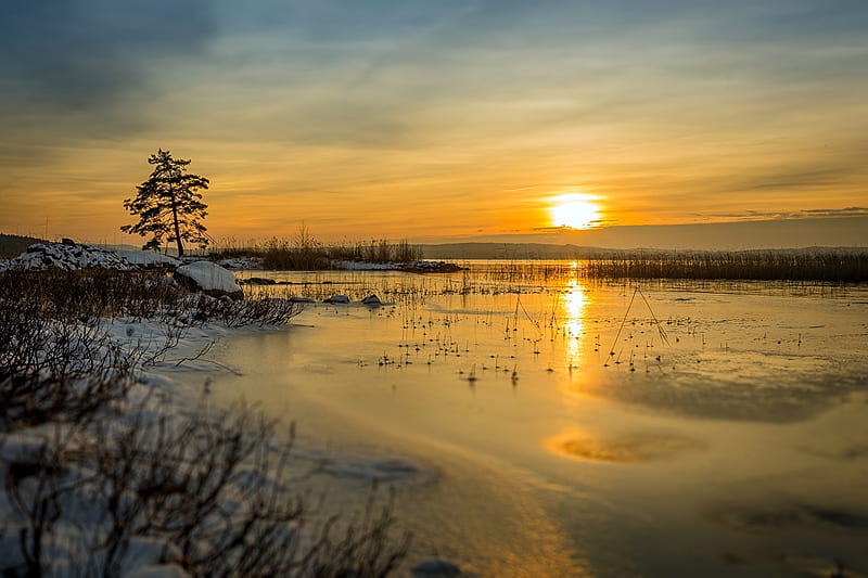 Sunrise at the end of winter, ce, sun, grass, clouds, nice, splendor, sunrise, sunbeam, sky, trees, water, cool, ice, awesome, sunshine, white, ys, panoramic view, bonito, cold, sunsets, mirror, mage, amazing, reflex, horizon, view, leaf, icy, plants, frozen, reflections, HD wallpaper
