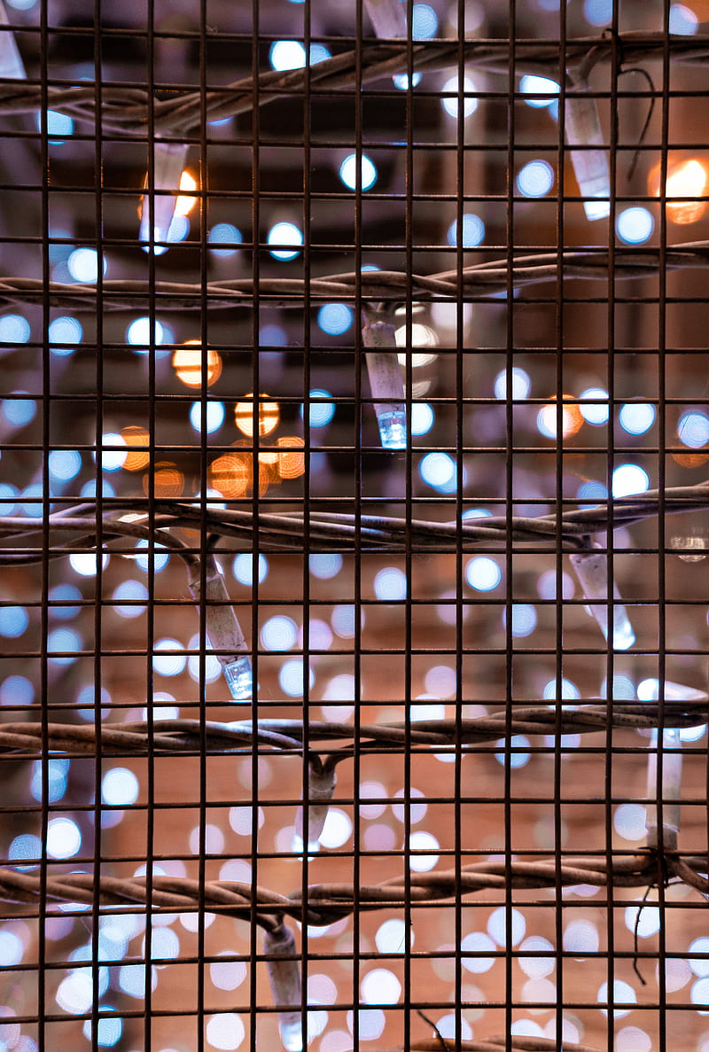 mesh, garland, lights, glare, HD phone wallpaper