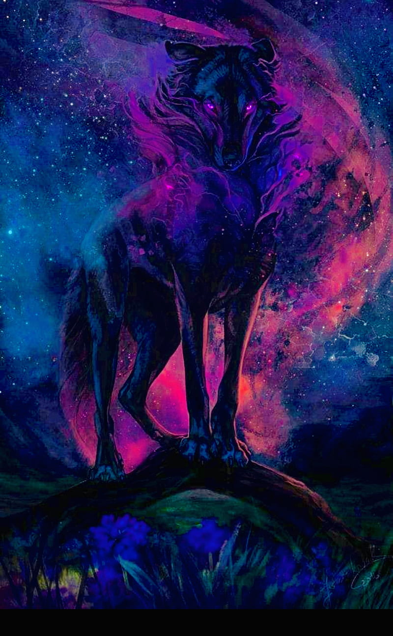 Wolf in the night , deep, night, real, wolf, HD phone wallpaper