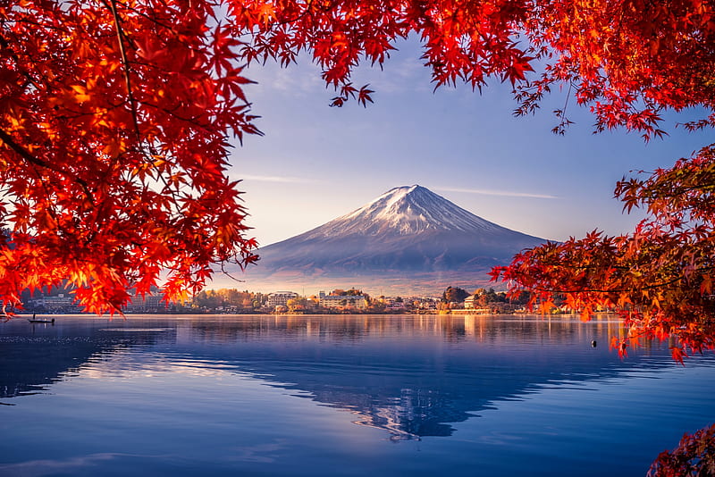 Colorful autumn season, fall, colorful, red, autumn, japan, view, bonito, Fuji, lake, mountain, tree, leaves, season, branches, reflection, HD wallpaper