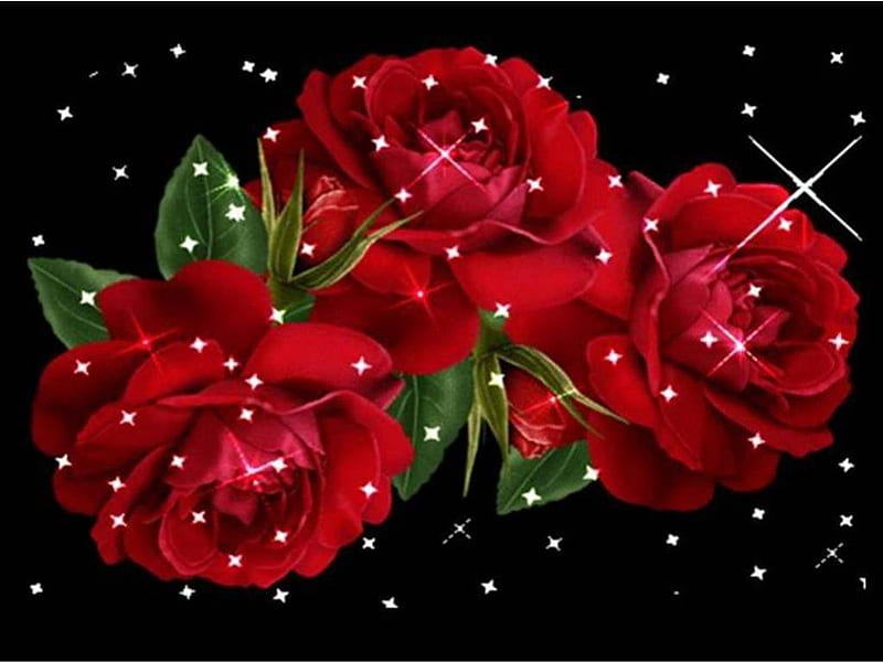 Rosas brillantes, rozen, schittererde rozen, sprankelende rozen, Fondo de  pantalla HD | Peakpx