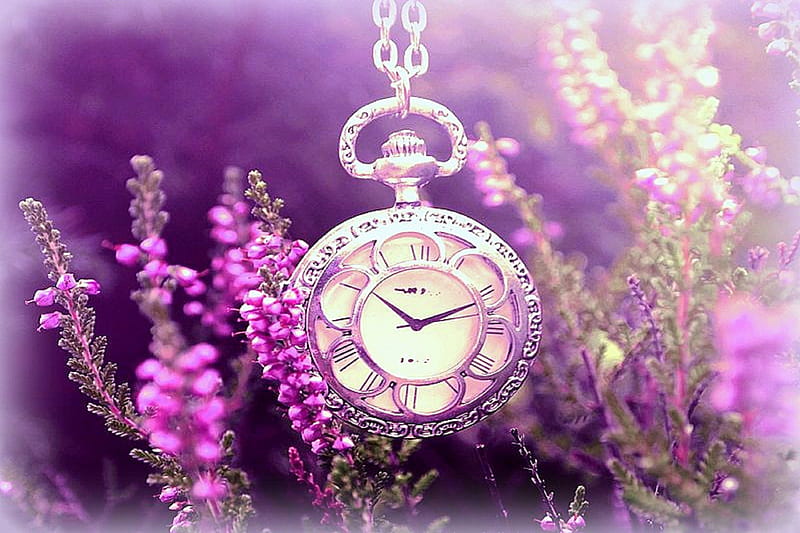 ✫Valuable Time in the Garden✫, softness beauty, bonito, graphy, watch, flowers, garden and parks, valuable time, lovely, colors, love four seasons, creative pre-made, clock, cool, purple, weird things people wear, beloved valentines, HD wallpaper