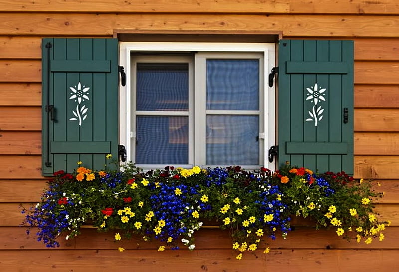 Beautiful Window, flowers, bonito, house, balcony, HD wallpaper