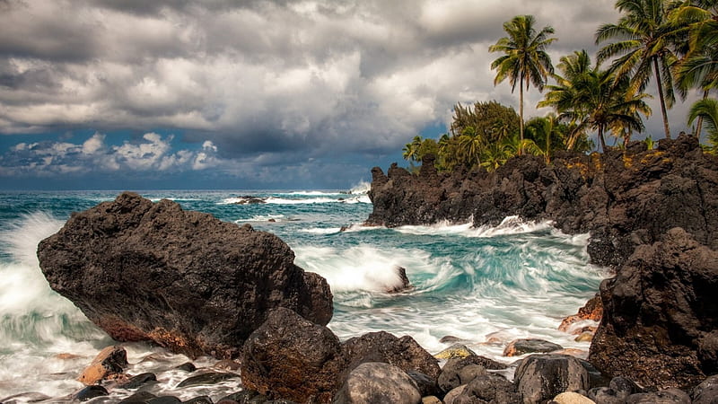 sea crashing on tropical rocky shore, rocks, shore, surf, waves, clouds, sea, palms, HD wallpaper