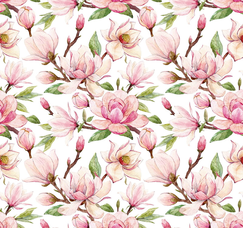 Pattern, magnolia, flower, white, pink, texture, spring, HD wallpaper ...