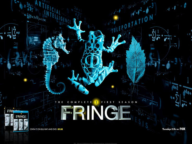 Fringe American TV series 15, HD wallpaper