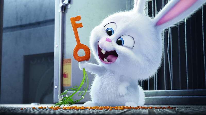 The Secrete Life of Pets Bunny, the-secret-life-of-pets, movies, animated-movies,  HD wallpaper | Peakpx