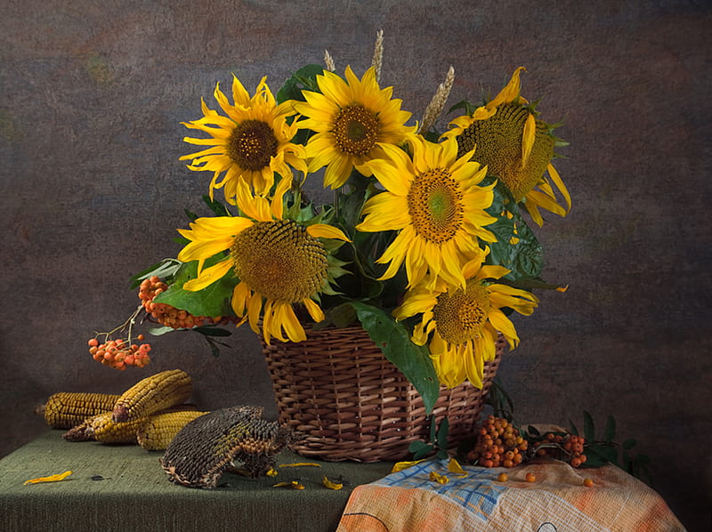 still life, corn, graphy, basket, yellow, village, sunflower, HD wallpaper