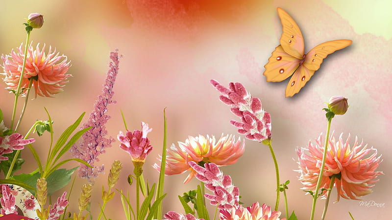 Spring Garden, flowers, wild flowers, butterfly, garden, spring, peach, soft, floral, HD wallpaper