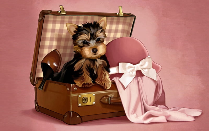 Ready for Vacation, suitcase, cute, Yorkie, pink, Dogs, shoes, hat, sweet, HD wallpaper