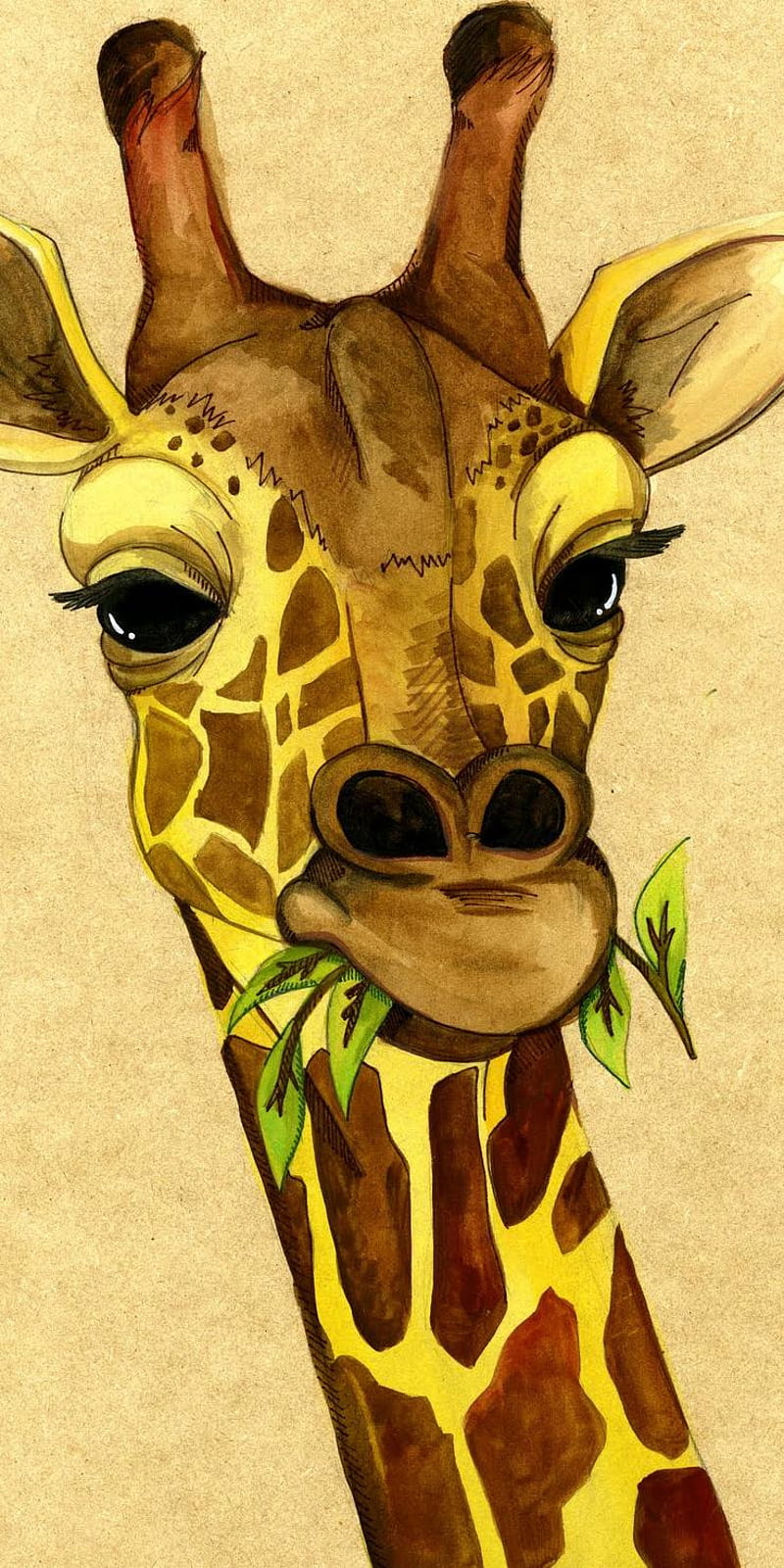 Girrafe, funny, giraffe, HD phone wallpaper