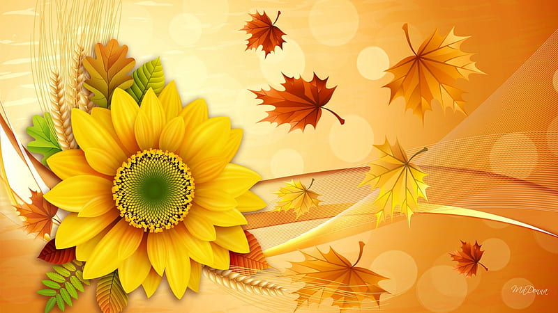 Autumn Breezes Blowing, fall, flowers, autumn, grass, wheat, adjust, acclimate, daisiy, acclimatize, leaves, bokeh, gold, bright, color, blowing, flowers, season, maple, wind, sunflower, adapt, HD wallpaper