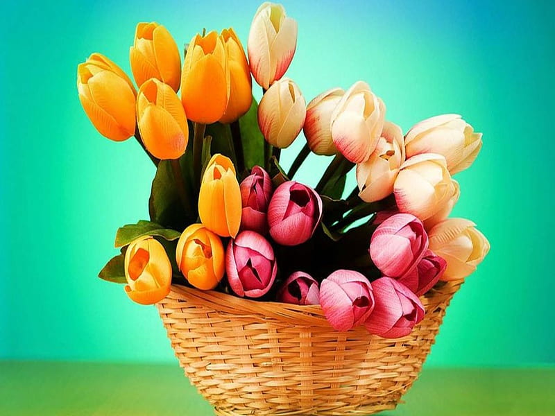 Basket of tulip flowers, Tulips, Bunch, Flowers, Basket, HD wallpaper