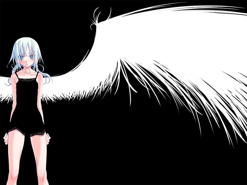 young angel, cute, female, wings, girl, anime, black, white, sexy, HD wallpaper