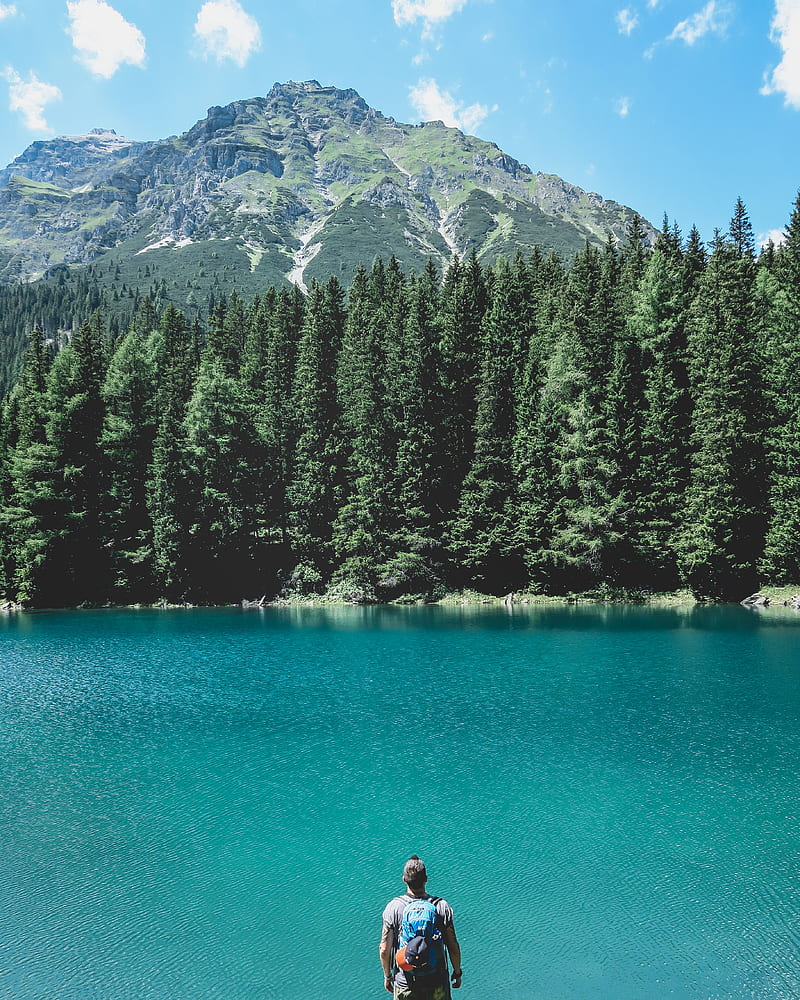man looking through on lake with pine trees under blue sky, HD phone wallpaper