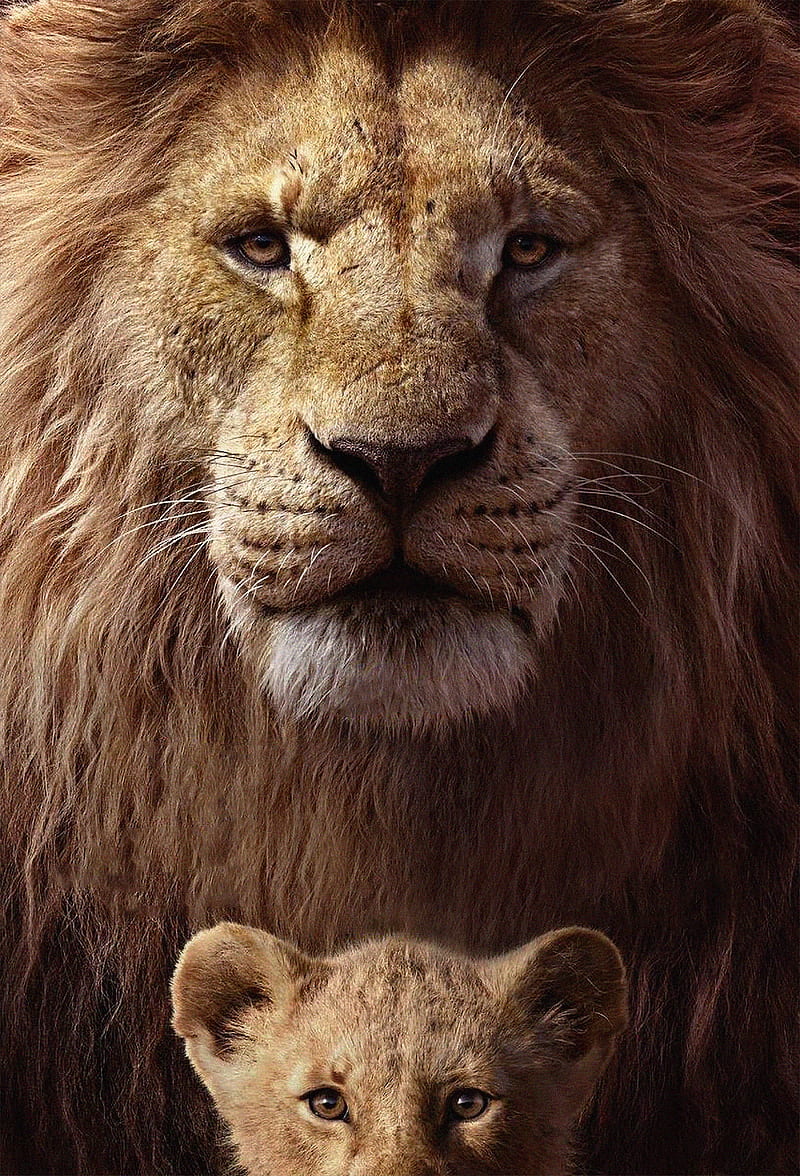 Poster Of The Lion King, HD phone wallpaper