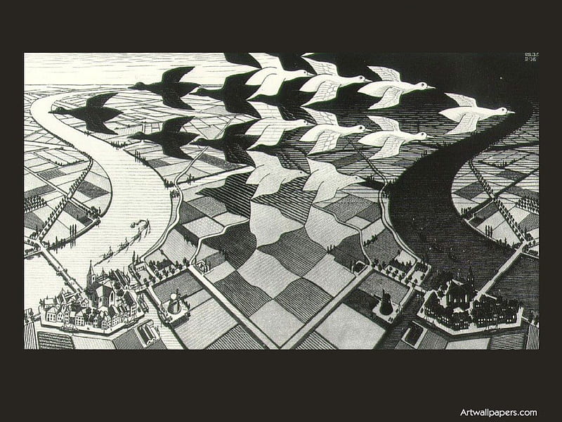 M C Escher, black and white, ducks, abstract, mc escher, farm, geese, pen, eye teaser, illusion, HD wallpaper
