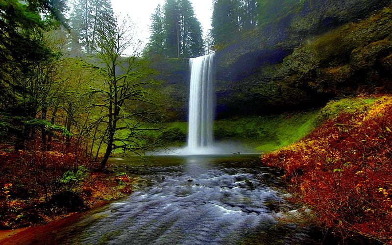 SILVER FALLS, Oregon, waterfalls, northwest, HD wallpaper