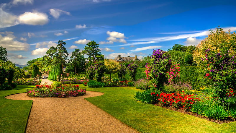 Garden With Green Grass And Flowers In Blue Sky Background Garden, HD wallpaper