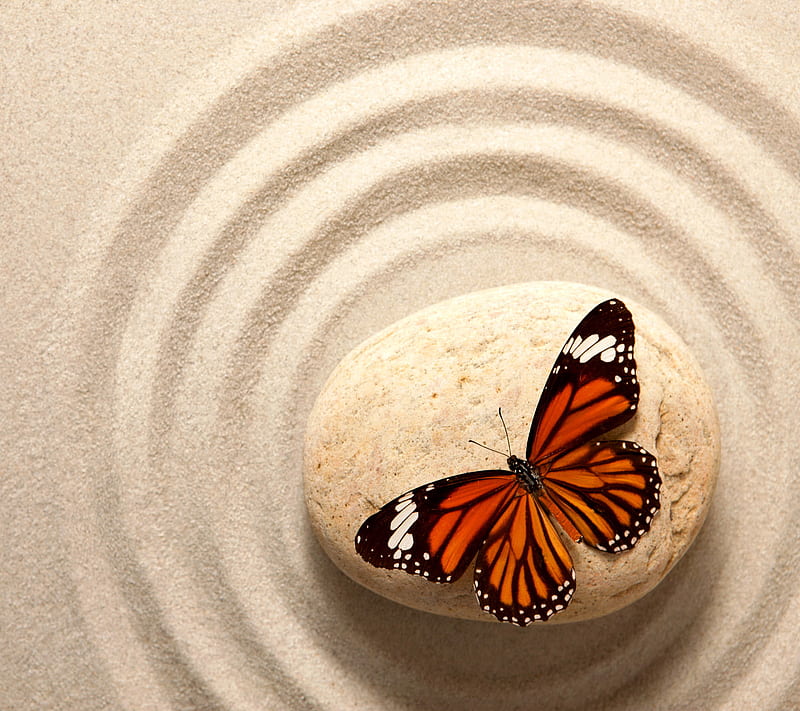 Zen, butterfly, sand, stone, HD wallpaper