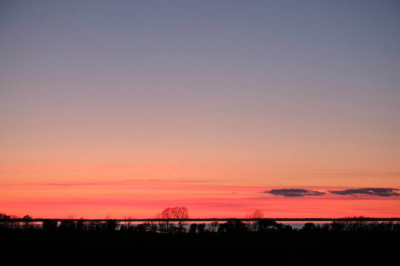 trees, twilight, horizon, dark, evening, HD wallpaper