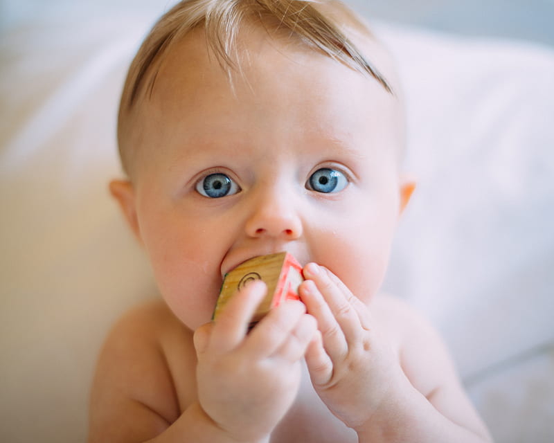 selective focus graphy of baby holding wooden cube, HD wallpaper