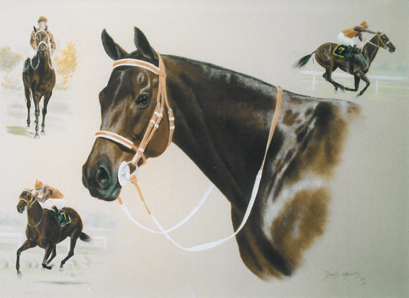 Golden Loom, equine art, painting, david magnes, animals, horses, HD wallpaper