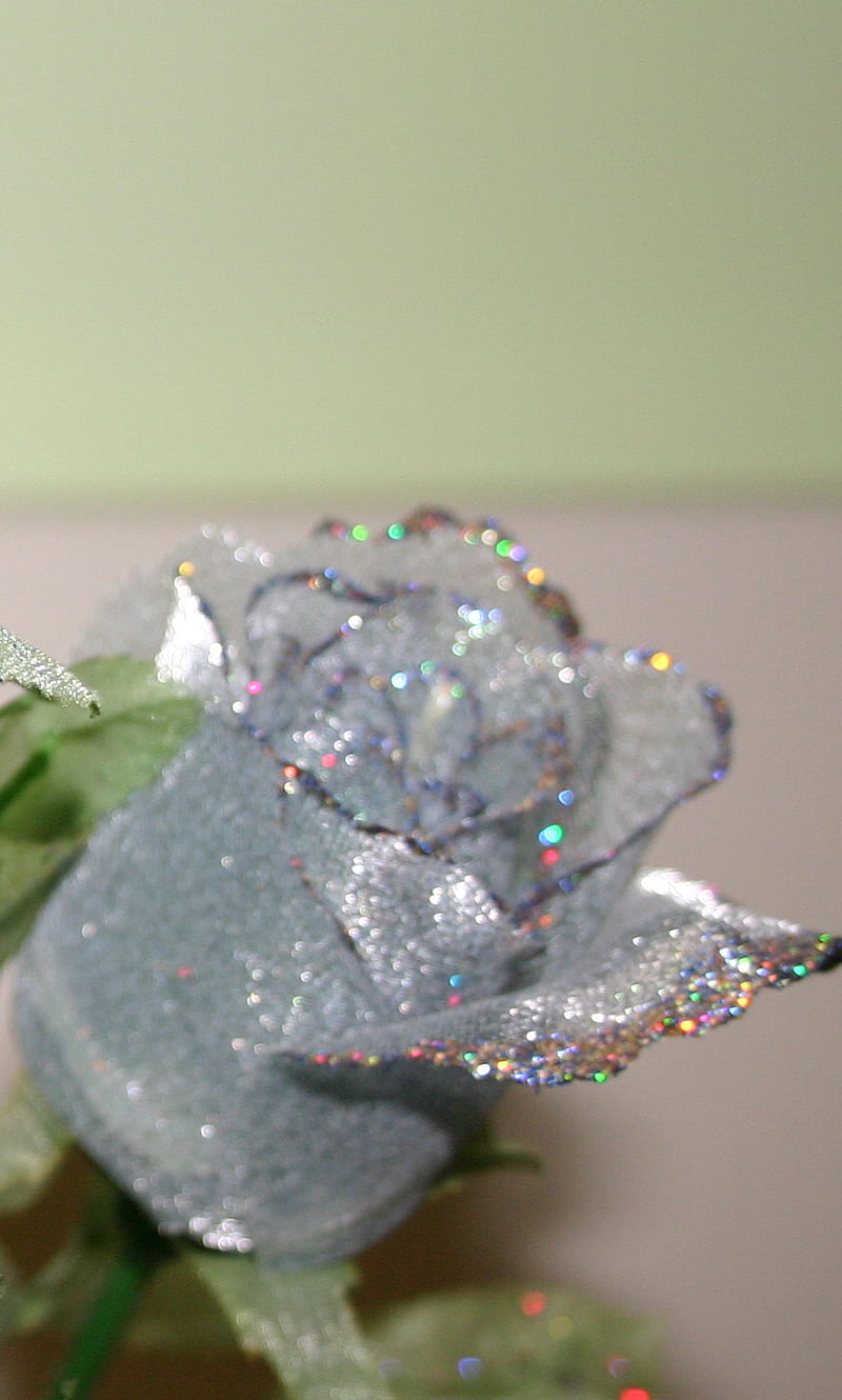 Blue Rose, glitter, HD phone wallpaper | Peakpx