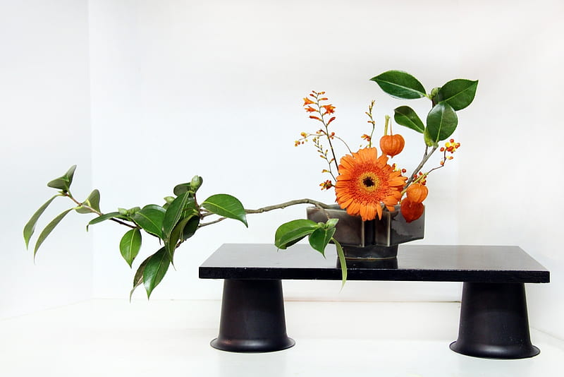 ikebana, still life, gerbera, flowers, bonito, leafs, HD wallpaper