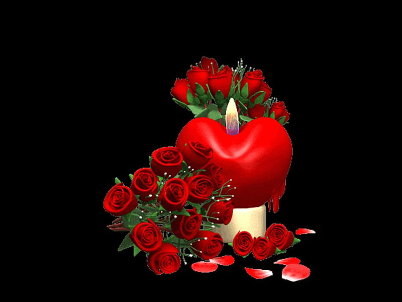 Heart%20candle,%20red,%20candle,%20rose,%20love,%20heart,%20flower,%20black,%20nature,%20HD%20%20wallpaper%20|%20Peakpx
