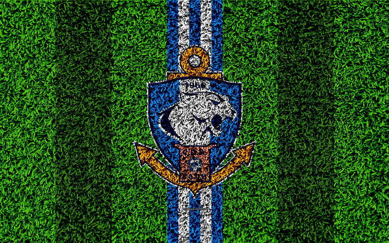 CD Antofagasta logo, grass texture, Chilean football club, football lawn, blue white lines, emblem, Antofagasta, Chile, Chilean Primera Division, football, Deportes Antofagasta FC, HD wallpaper