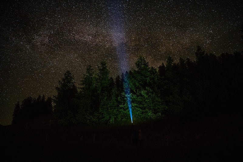 starry sky, forest, flashlight, glow, night, HD wallpaper
