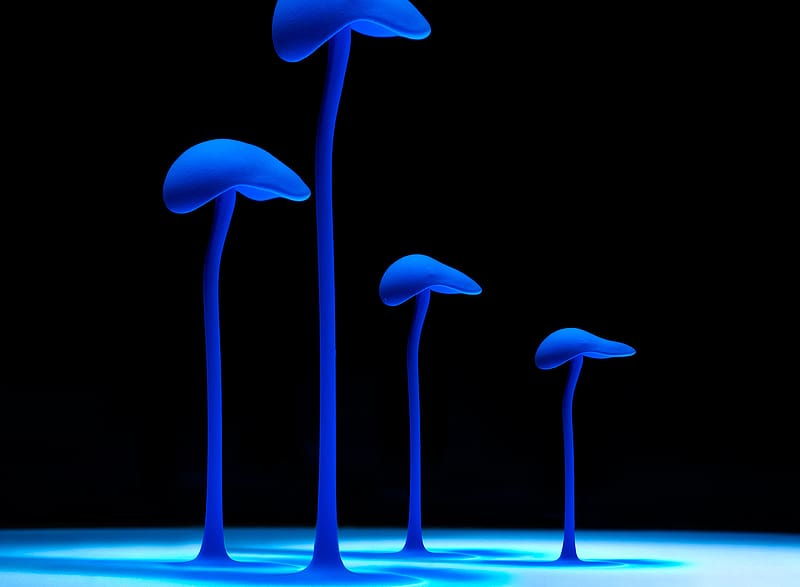 Mushroom, Artistic, Psychedelic, HD wallpaper