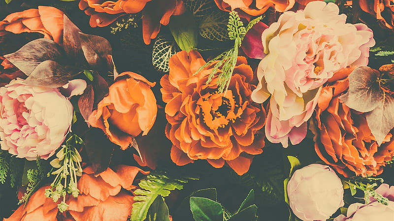 Orange flower field mural wallpaper  TenStickers