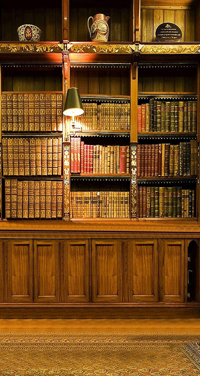 library, brown, damask, light, room, vintage, wood, HD phone wallpaper