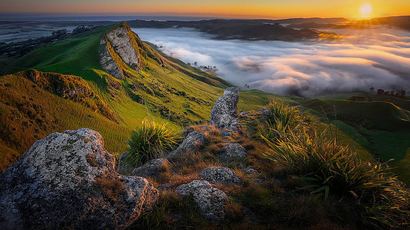 Dawn Fog Morning Mountain In New Zealand During Sunrise Nature, HD wallpaper