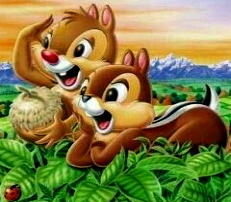 Chip And Dale With Nuts, Chip, Chipmunk, Nuts, Dale, HD wallpaper