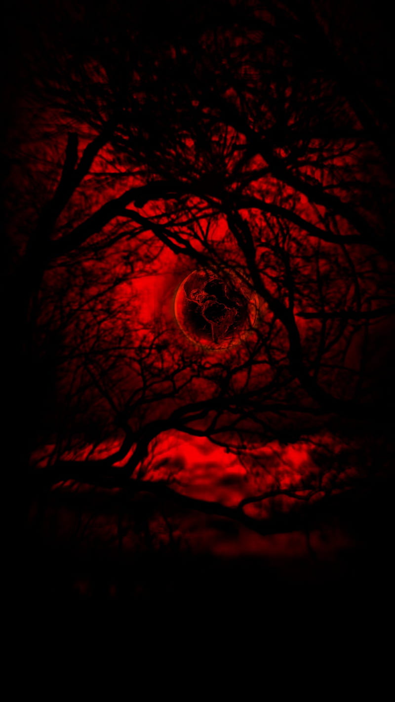 RedSun, coming, dark, forest, halloween, orange, graphy, red, winter, HD phone wallpaper